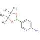 2-Aminopyridine-5-boronic acid pinacol ester (CAS 827614-64-2) - chemical structure image