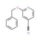 2-(benzyloxy)isonicotinonitrile - chemical structure image