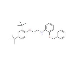 2-(Benzyloxy)-N-{2-[2,4-di(tert-butyl)phenoxy]-ethyl}aniline - chemical structure image