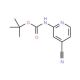 2-(Boc-amino)-4-cyanopyridine (CAS 737000-78-1) - chemical structure image
