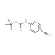 2-(Boc-amino)-5-cyanopyridine (CAS 814263-30-4) - chemical structure image