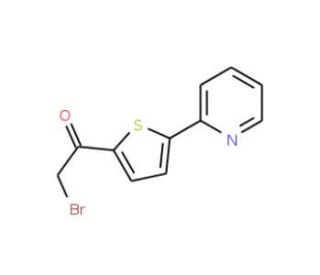 2-Bromo-1-(5-pyridin-2-ylthien-2-yl)ethan-1-one (CAS 306935-06-8) - chemical structure image
