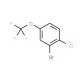 2-Bromo-1-chloro-4-trifluoromethoxybenzene (CAS 468075-00-5) - chemical structure image