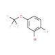 2-Bromo-1-iodo-4-(trifluoromethoxy)benzene (CAS 883546-30-3) - chemical structure image
