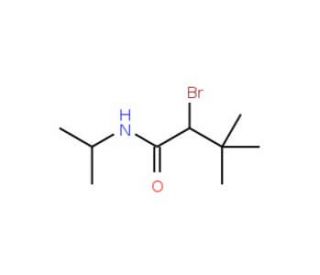 2-Bromo-3,3-dimethyl-N-isopropylbutyramide (CAS 69959-83-7) - chemical structure image