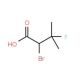 2-Bromo-3-fluoro-3-methylbutyric acid - chemical structure image