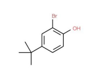 2-Bromo-4-(tert-butyl)phenol (CAS 2198-66-5) - chemical structure image