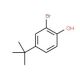 2-Bromo-4-(tert-butyl)phenol (CAS 2198-66-5) - chemical structure image