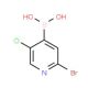 2-Bromo-5-chloropyridine-4-boronic acid (CAS 1072952-51-2) - chemical structure image