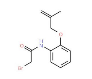 2-Bromo-N-{2-[(2-methyl-2-propenyl)oxy]-phenyl}acetamide - chemical structure image