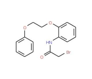 2-Bromo-N-[2-(2-phenoxyethoxy)phenyl]acetamide - chemical structure image