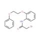 2-Bromo-N-[2-(2-phenoxyethoxy)phenyl]acetamide - chemical structure image