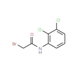 2-bromo-N-(2,3-dichlorophenyl)acetamide - chemical structure image