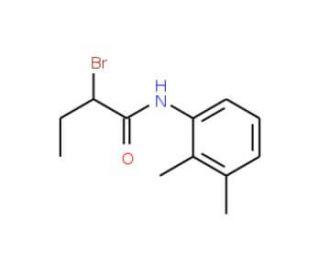 2-Bromo-N-(2,3-dimethylphenyl)butanamide - chemical structure image