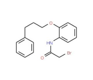 2-Bromo-N-[2-(3-phenylpropoxy)phenyl]acetamide - chemical structure image