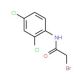 2-Bromo-N-(2,4-dichlorophenyl)acetamide (CAS 286841-26-7) - chemical structure image