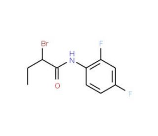 2-Bromo-N-(2,4-difluorophenyl)butanamide - chemical structure image