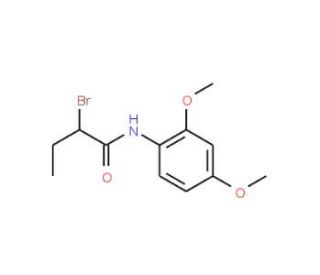 2-Bromo-N-(2,4-dimethoxyphenyl)butanamide - chemical structure image