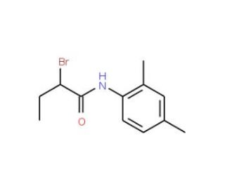 2-Bromo-N-(2,4-dimethylphenyl)butanamide - chemical structure image