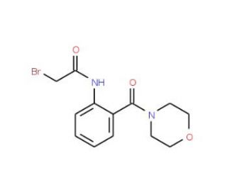 2-Bromo-N-[2-(4-morpholinylcarbonyl)phenyl]-acetamide - chemical structure image