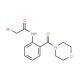 2-Bromo-N-[2-(4-morpholinylcarbonyl)phenyl]-acetamide - chemical structure image