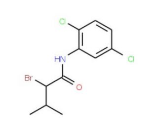 2-bromo-N-(2,5-dichlorophenyl)-3-methylbutanamide - chemical structure image