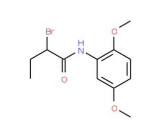 2-Bromo-N-(2,5-dimethoxyphenyl)butanamide - chemical structure image