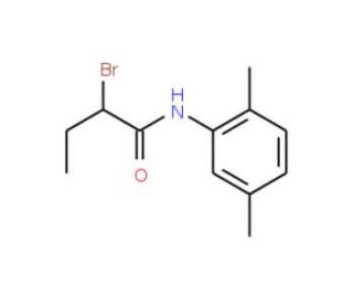 2-Bromo-N-(2,5-dimethylphenyl)butanamide - chemical structure image