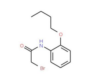 2-Bromo-N-(2-butoxyphenyl)acetamide - chemical structure image