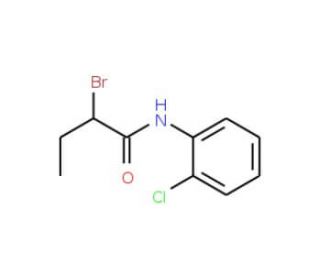 2-Bromo-N-(2-chlorophenyl)butanamide - chemical structure image