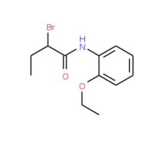 2-Bromo-N-(2-ethoxyphenyl)butanamide - chemical structure image