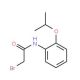 2-Bromo-N-(2-isopropoxyphenyl)acetamide - chemical structure image