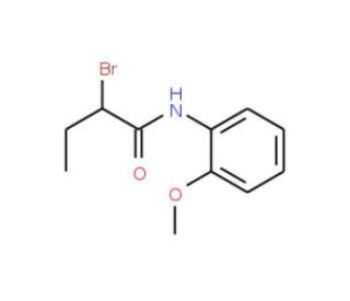 2-Bromo-N-(2-methoxyphenyl)butanamide - chemical structure image