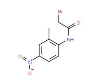 2-Bromo-N-(2-methyl-4-nitrophenyl)acetamide - chemical structure image