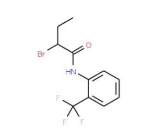 2-Bromo-N-[2-(trifluoromethyl)phenyl]butanamide - chemical structure image
