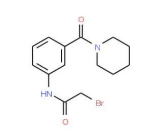 2-Bromo-N-[3-(1-piperidinylcarbonyl)phenyl]-acetamide - chemical structure image