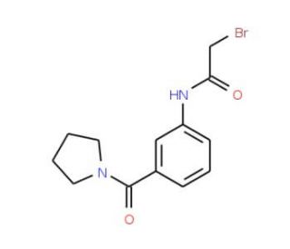 2-Bromo-N-[3-(1-pyrrolidinylcarbonyl)phenyl]-acetamide - chemical structure image
