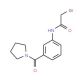 2-Bromo-N-[3-(1-pyrrolidinylcarbonyl)phenyl]-acetamide - chemical structure image