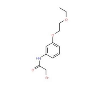2-Bromo-N-[3-(2-ethoxyethoxy)phenyl]acetamide - chemical structure image