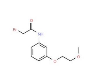 2-Bromo-N-[3-(2-methoxyethoxy)phenyl]acetamide - chemical structure image
