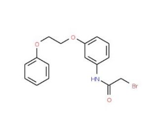 2-Bromo-N-[3-(2-phenoxyethoxy)phenyl]acetamide - chemical structure image