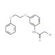 2-Bromo-N-[3-(2-phenoxyethoxy)phenyl]acetamide - chemical structure image