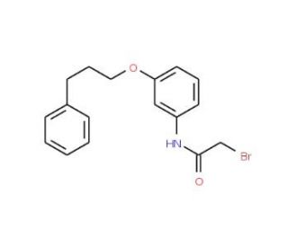 2-Bromo-N-[3-(3-phenylpropoxy)phenyl]acetamide - chemical structure image