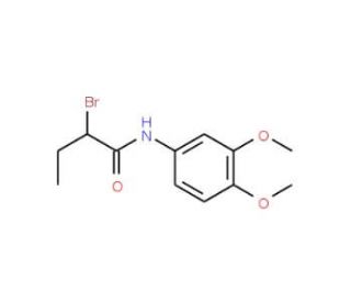 2-Bromo-N-(3,4-dimethoxyphenyl)butanamide - chemical structure image