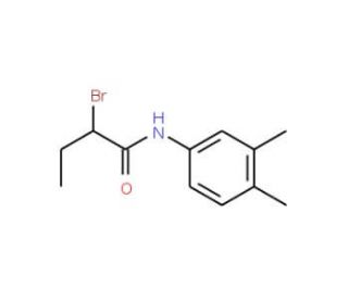 2-Bromo-N-(3,4-dimethylphenyl)butanamide - chemical structure image