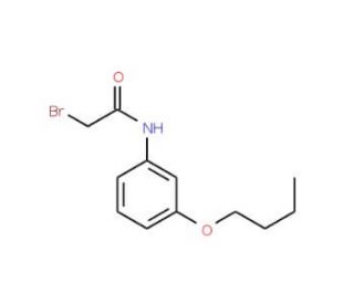2-Bromo-N-(3-butoxyphenyl)acetamide - chemical structure image