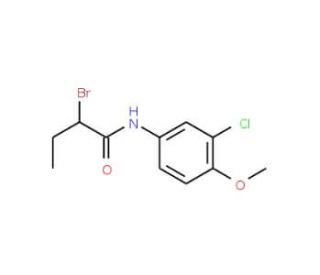 2-Bromo-N-(3-chloro-4-methoxyphenyl)butanamide - chemical structure image