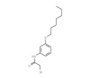 2-Bromo-N-[3-(heptyloxy)phenyl]acetamide - chemical structure image