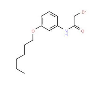 2-Bromo-N-[3-(hexyloxy)phenyl]acetamide - chemical structure image