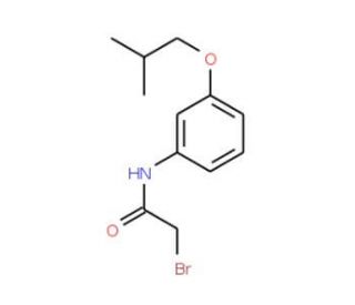 2-Bromo-N-(3-isobutoxyphenyl)acetamide - chemical structure image